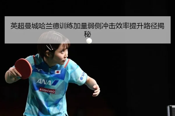 ying-chao-man-cheng-ha-lan-de-xun-lian-jia-liang-ruo-ce-chong-ji-xiao-lv-ti-sheng-lu-jing-jie-mi-2-981.jpg